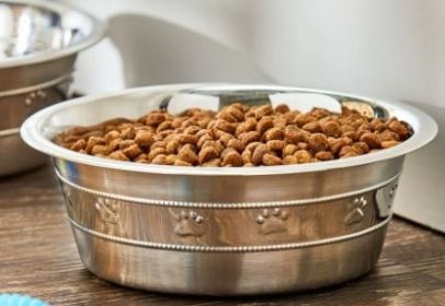 Vibrant Life Stainless Steel Paw & Beads Imprint Dog Bowl Medium